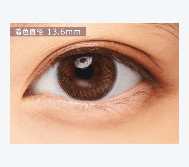 Chocolate Cosmos(チョコレートコスモス)/10枚入り